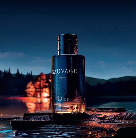 sauvage dior fragrantica